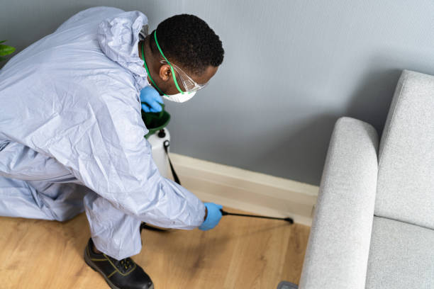 Best Residential Pest Control  in Franklin, LA